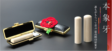 本象牙